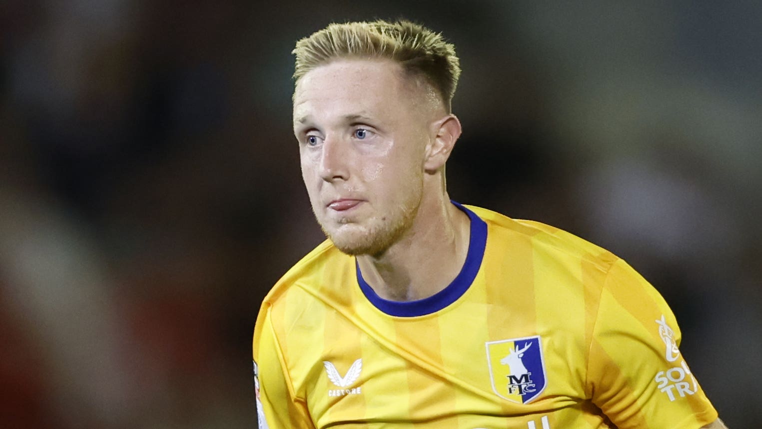 性的风格融 性的风格融