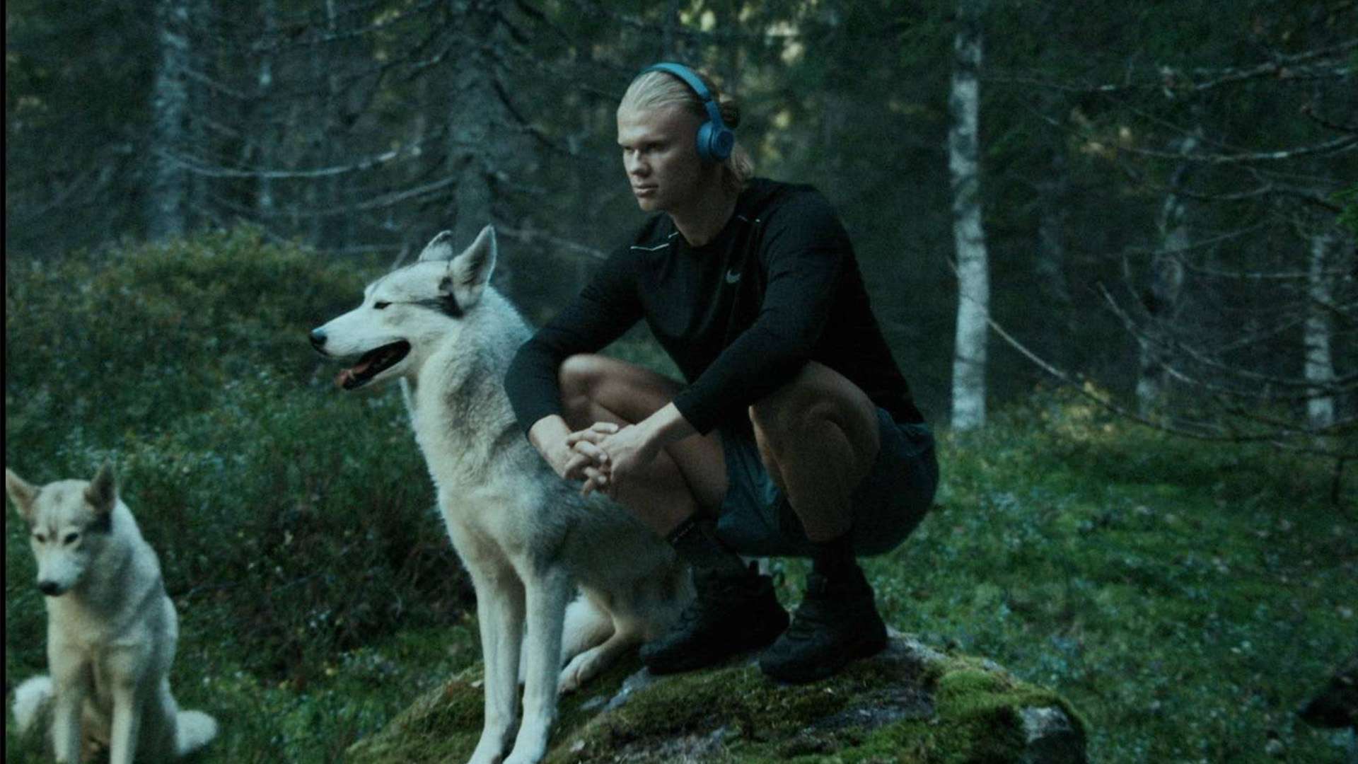 题解决能力 题解决能力