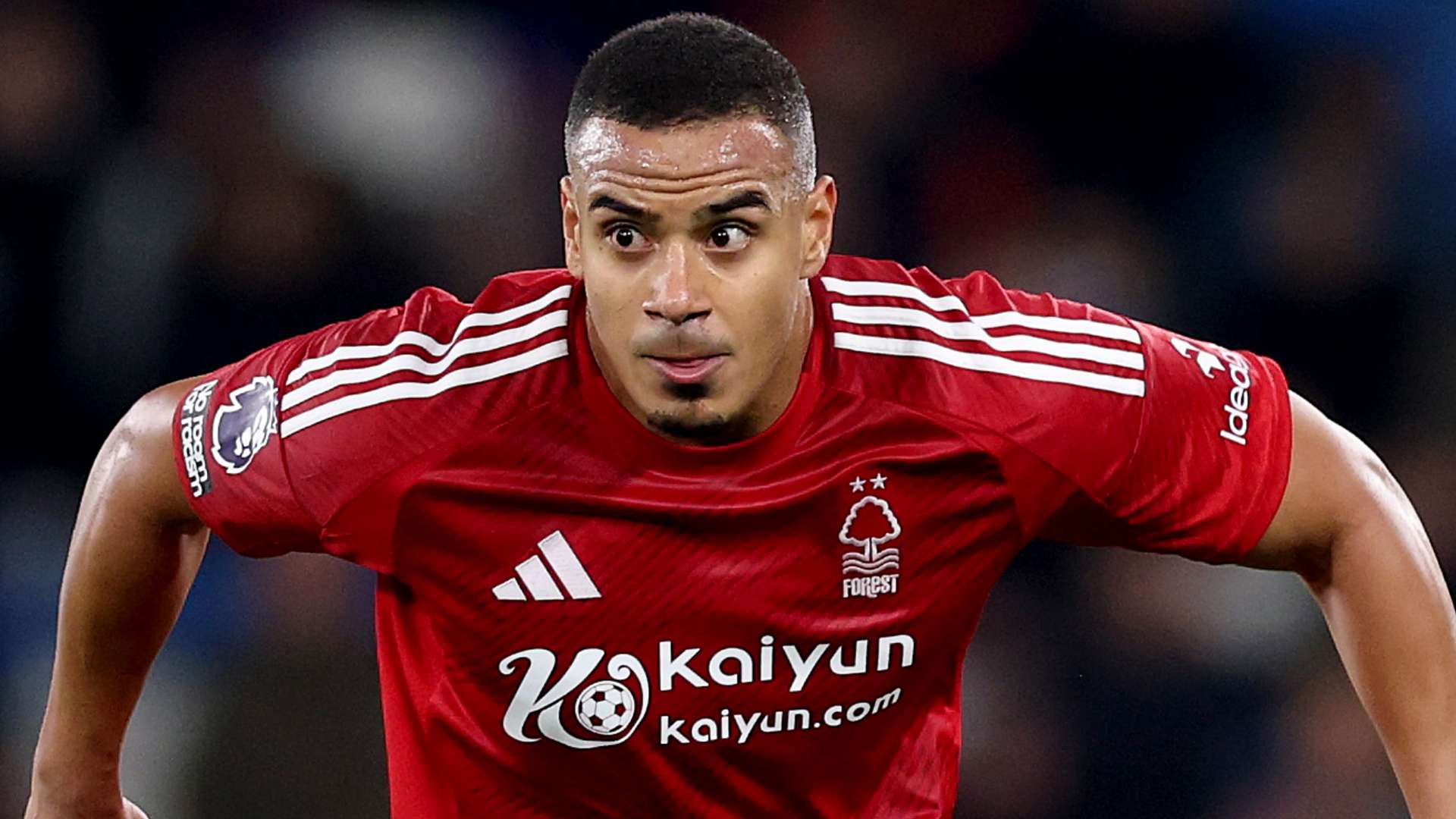 力与文化 力与文化