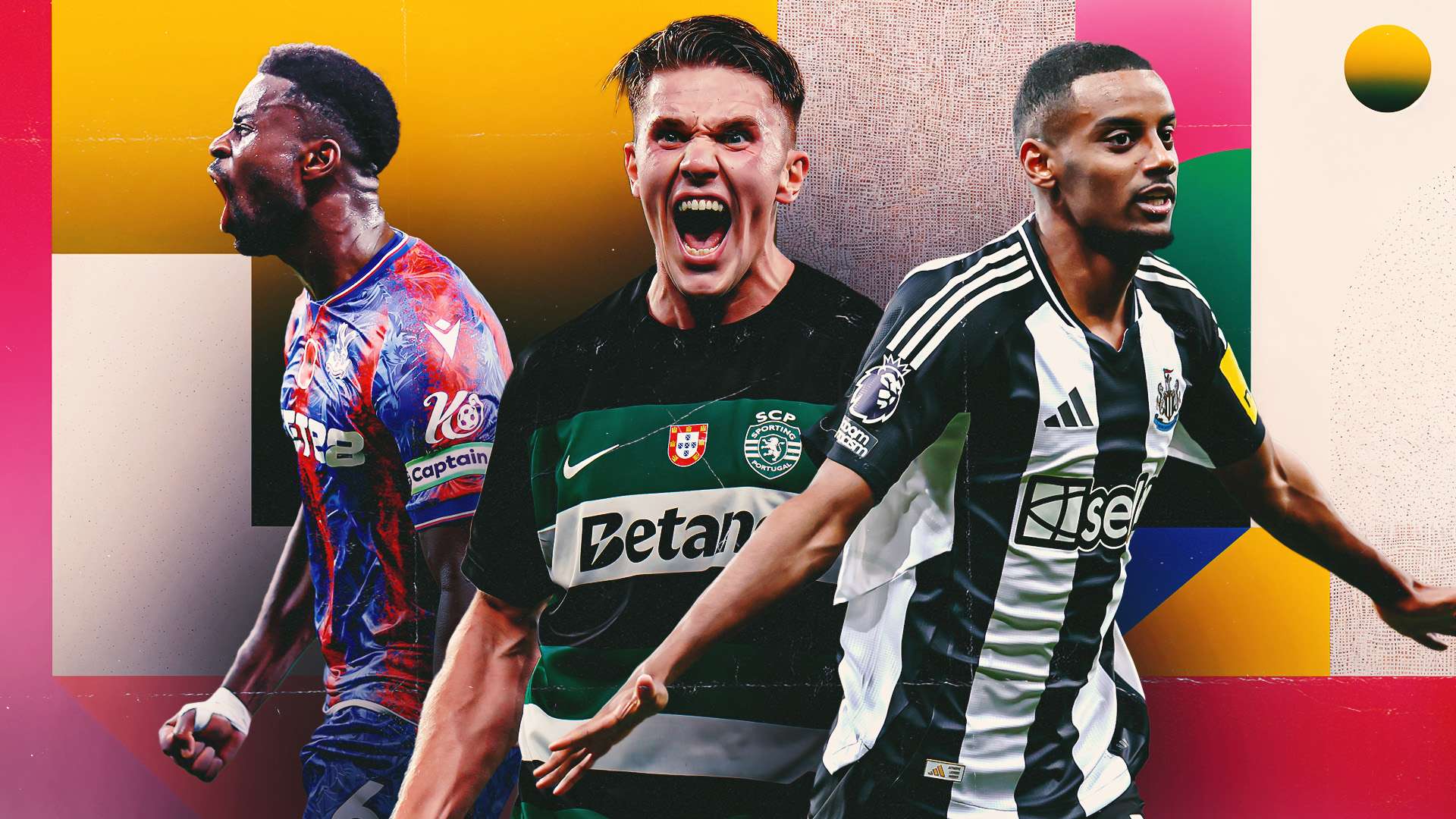 许多年轻球 许多年轻球